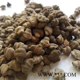 九盛堂中药材 王瓜子 土瓜仁 马雹儿子 赤雹子 土瓜籽图3