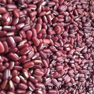 新辉药业优质红豆 赤小豆图2