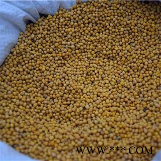 新辉药业中药材白芥子图2