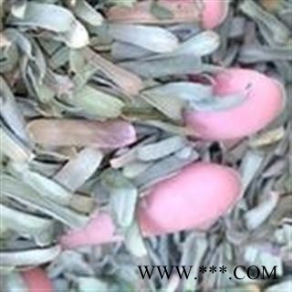 诺源药材行中药材余甘子叶 油甘叶 余甘子肉图2