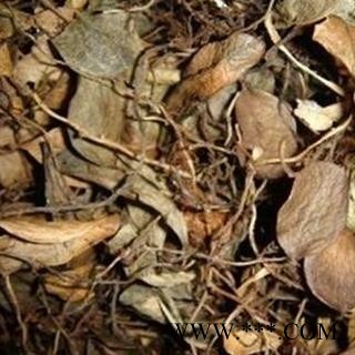 煜庭药业 抱石莲 镜面草 石瓜子 地连钱 金龟藤 返现进行中图2