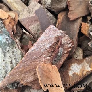 安祁名药正品地枫皮 钻地风图3