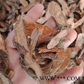 中药材千年健片 本品为无硫新货 精心挑选不掺假 不增重 不染色 自然晒干 品质有保证 安国中药材批发零售大全图2