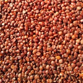 新辉药业枣仁 酸枣仁 国产新货图2