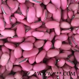 新辉药业正品刀豆 红刀豆图2