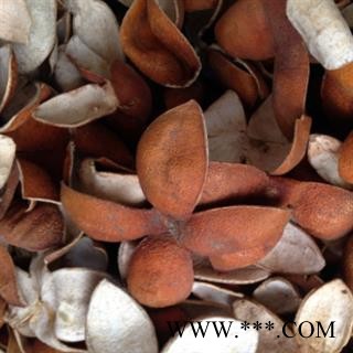 新辉药业优质正品陈皮 橙皮  优质新货图2