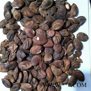 桃仁 新到一般清炒扁桃仁统货炒桃仁 产地 山东省图2