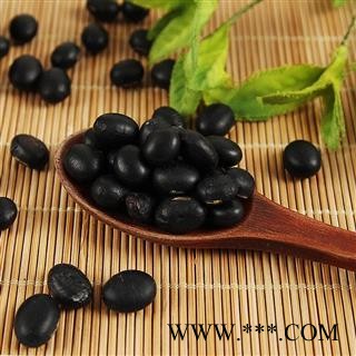 绿心黑豆农家自产豆浆小粒备孕非转基因绿芯杂粮图3