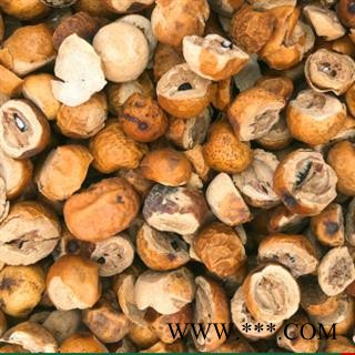 新辉药业正品川楝子  金铃子 川楝实图2