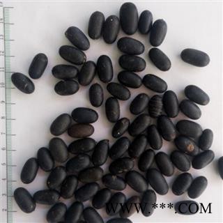 诺源药材行双肾子 石苦莲 正品优质图2