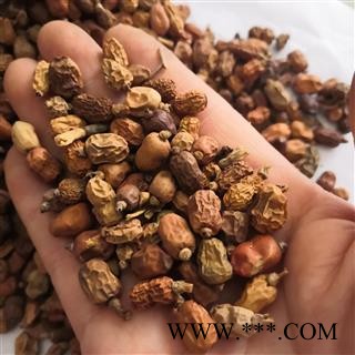 新辉药业红豆蔻 豆蔻  大良姜 山姜图3