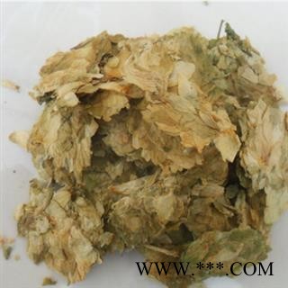 新辉药业正品啤酒花图2