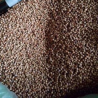 新辉药业正品白胡椒 优质新货图2