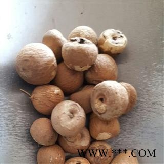 新辉药业优质香料槟榔 槟榔果 精选新货图2