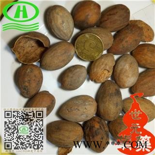 世元药业 榧子 正品 香榧 赤果 玉山果 玉榧 野极子 细榧 羊角榧 榧树 野杉 柀子图2