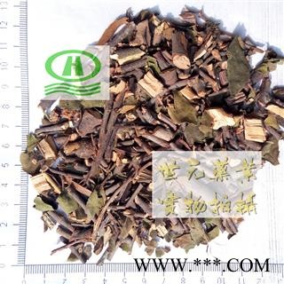 世元药业 广寄生 广西桑寄生 桃树寄生 寄生茶图2