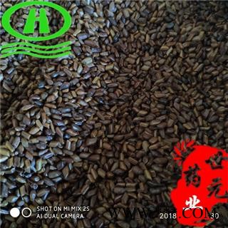 世元药业 炒决明子 加工优质原料 无杂质 另有生决明子图2