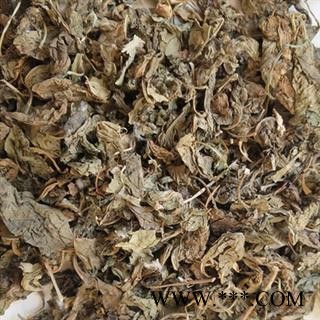 安祁名药枸杞叶 枸杞子 生晒 枸杞叶 无硫新货 实物拍摄图2