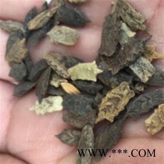 安祁名药优质藏药波棱瓜子 色吉美多[藏语]图2