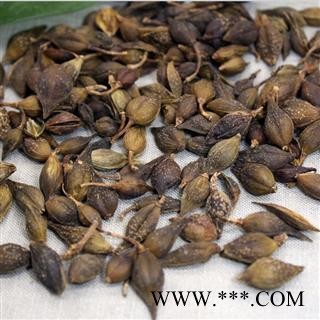 连翘 青翘水煮（汽蒸）统货 产地 河南省  主流统货 可代加工粗细粉 双鹏图2