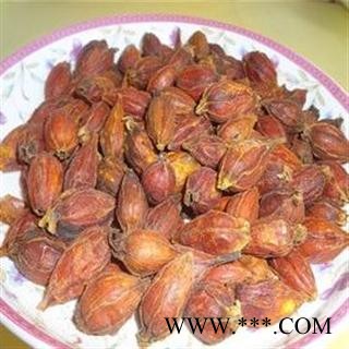 栀子 统 产地 浙江省金华市市辖区图3