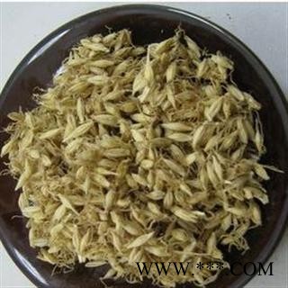 麦芽 统 产地 安徽省亳州市谯城区图2