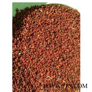 沙棘果 沙棘 选 产地 内蒙古自治区包头市市辖区图3