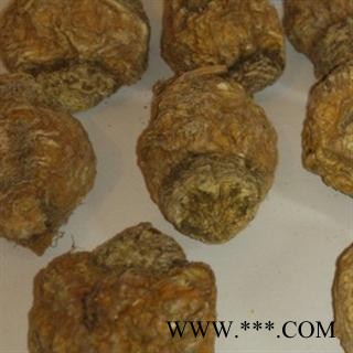 世元药业 玛咖 黄玛咖 优质 优惠 促销图2