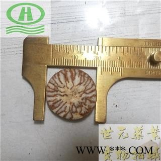 世元药业 槟榔 正品 别称-槟郎 槟榔子 宾门 槟楠 大白槟 大腹子 橄榄子 螺果图2