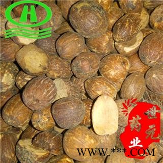 世元药业 橡子 橡实 橡茧 正品 橡籽图1