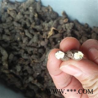 安祁名药正品野生天葵子 紫背天葵 千年老鼠屎图2