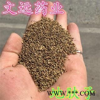 地肤子 统装 产地 河南省南阳市宛城区图2