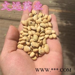 白扁豆 进口白扁豆选货 产地 海外图2