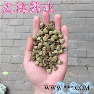 覆盆子 大统装 大覆盆子 产地 浙江省图3