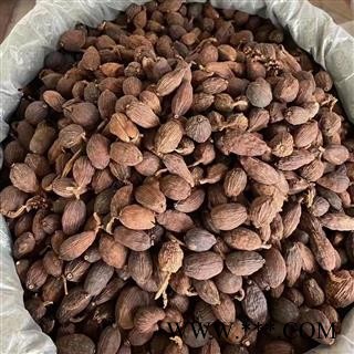 【满包邮】草果 广西精品 药味大 无硫 【专业批发 品质保证】图3