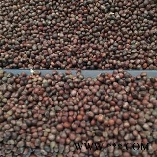 苏子 紫苏子净货  紫苏子大粒 产地 四川省 双鹏药材行 可提供打粉图2