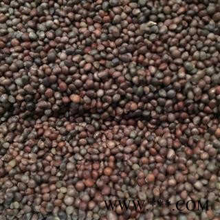 苏子 紫苏子净货  紫苏子大粒 产地 四川省 双鹏药材行 可提供打粉图3