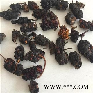 桑葚子桑葚果 桑葚  统 产地 安徽省 各种规格批发 中药材 花茶 矿石 代加工超细粉图2