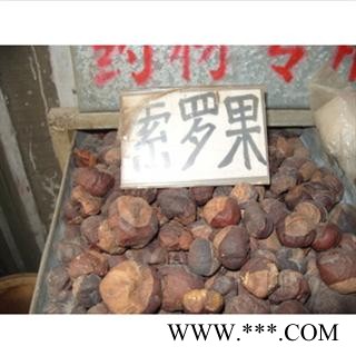 娑罗子 统 产地 江苏省南通市市辖区图2