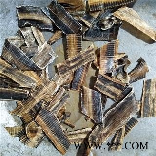 精品广地龙全开片 质量好 价格低  产地 广西壮族自治区图2