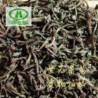 世元药业 苦丁香 正品 甜瓜蒂 香瓜蒂【全品除尘中药】图2