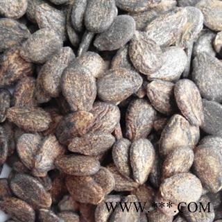 世元药业 西瓜子 【全品除尘中药】图2