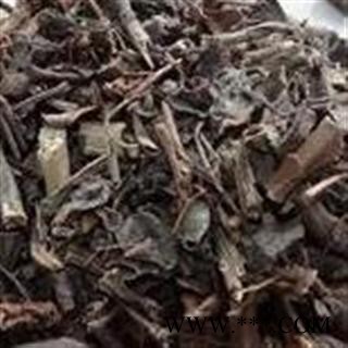 小丽百草行石苋菜  石油菜 打不死图2