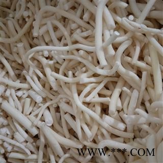 小通草个 大通草 产地 四川省攀枝花市图3