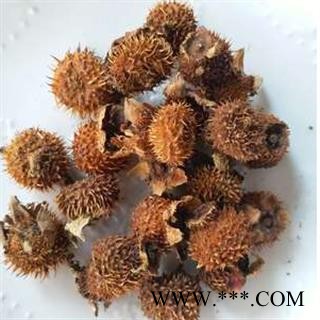 安祁名药刺梨  文仙果 送春归图2