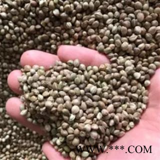 安祁名药正品中药材火麻仁图3