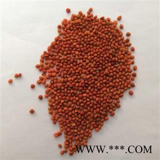 野生楮实子 正宗道地药材 品质保证 品种齐全图2