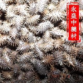 苍耳子 苍耳子后期黄褐色选货 产地 河南省南阳市
