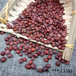 酸枣仁 炒 国产炒酸枣仁  产地 河北省图3