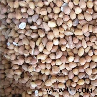 苦杏仁 统 产地 河北省保定市北市区 库图3